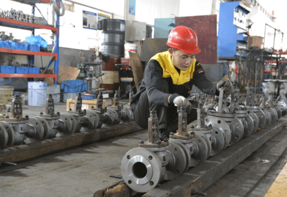 globe valve