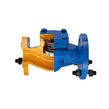 DIN Standard Lift Check Valve