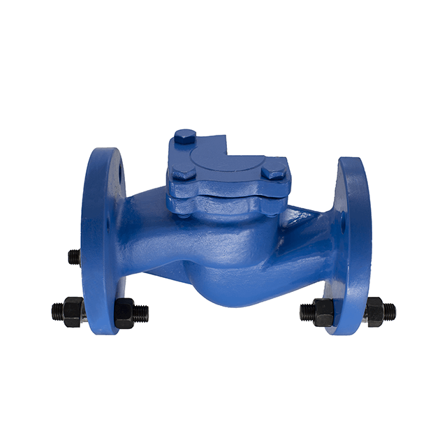 DIN Standard Lift Check Valve