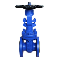 Din Bellows Gate Valve PN40 RF Flange End