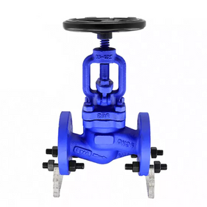 Din Standard Globe Valve.png