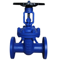 DIN Standard F7 Gate Valve