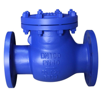 Din Check Valve PN40 RF Flange End