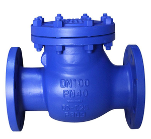 Din Check Valve PN40 RF Flange End