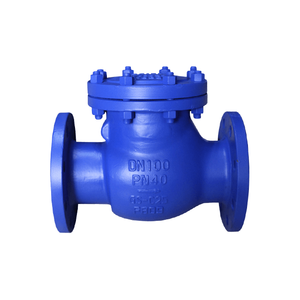 DIN Standard Swing Check Valve