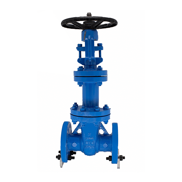 Extended Stem Bellows Gate Valve