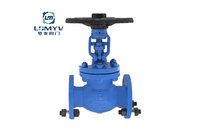 API Globe Valve 600LB RF Flange End