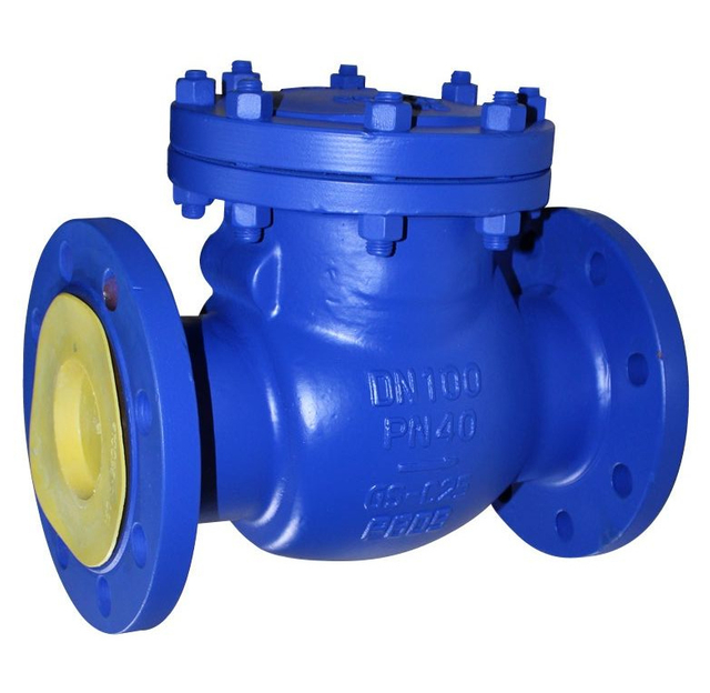 Din Check Valve PN40 BW End