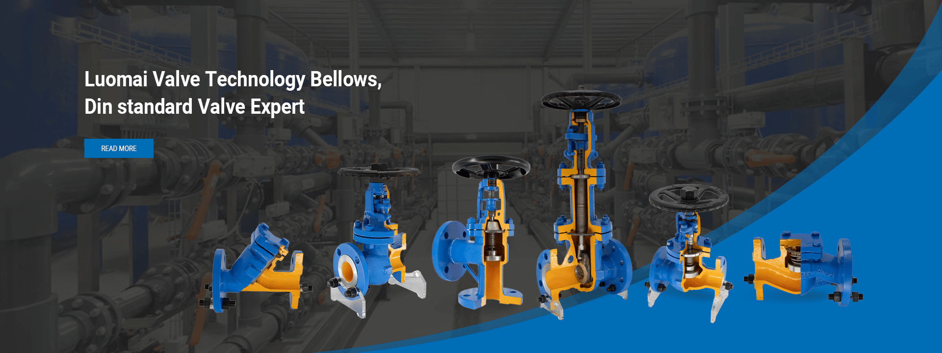 Bellow globe valve