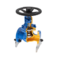 API Standard Bellows Globe Valve