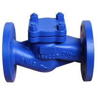 Din Check Valve PN40 Rising stem