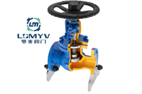 API Bellows Globe Valve 600LB RF Flange End