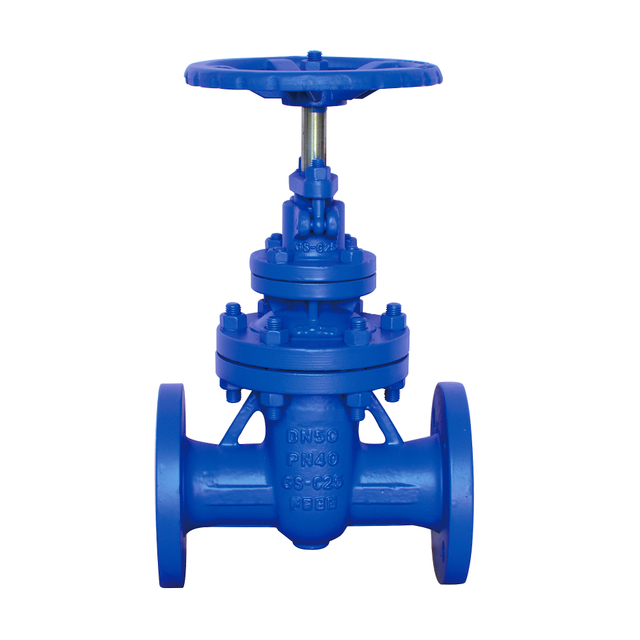 DIN Standard F7 Gate Valve