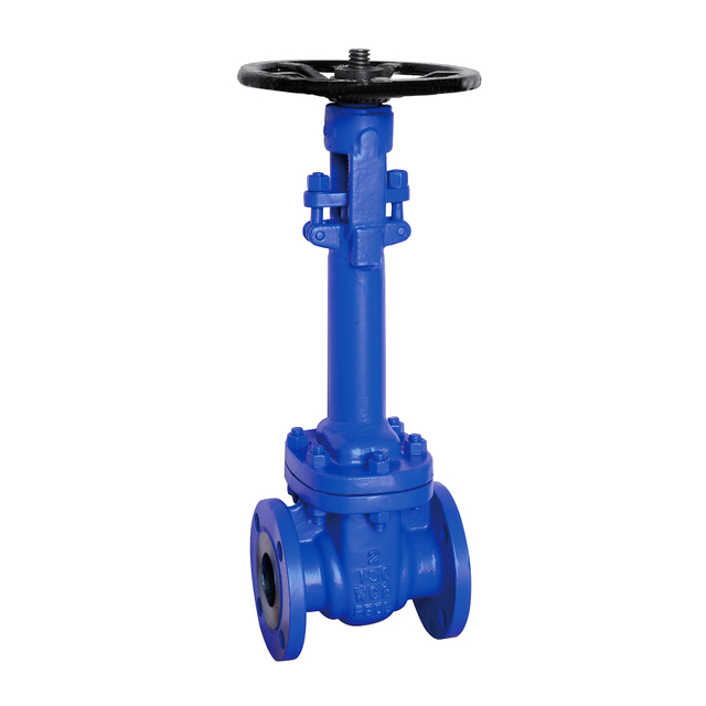 API Gate Valve SS304 BW End