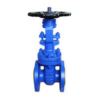 DIN Standard F4 Gate Valve