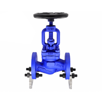 Din Standard Globe Valve