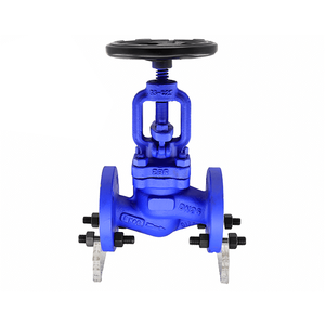 Din Standard Globe Valve