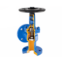 Angle Type Bellows Globe Valve