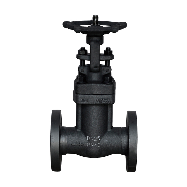 Din Bellows Gate Valve 1.0619 Rising stem