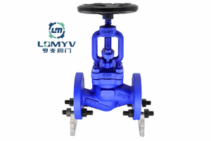 Din Globe Valve 1.4408 RF Flange End