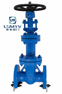 API Bellows Gate Valve Forged steel RF Flange End