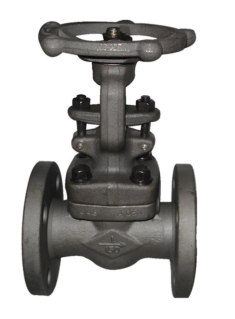 ANSI Standard Globe Valve